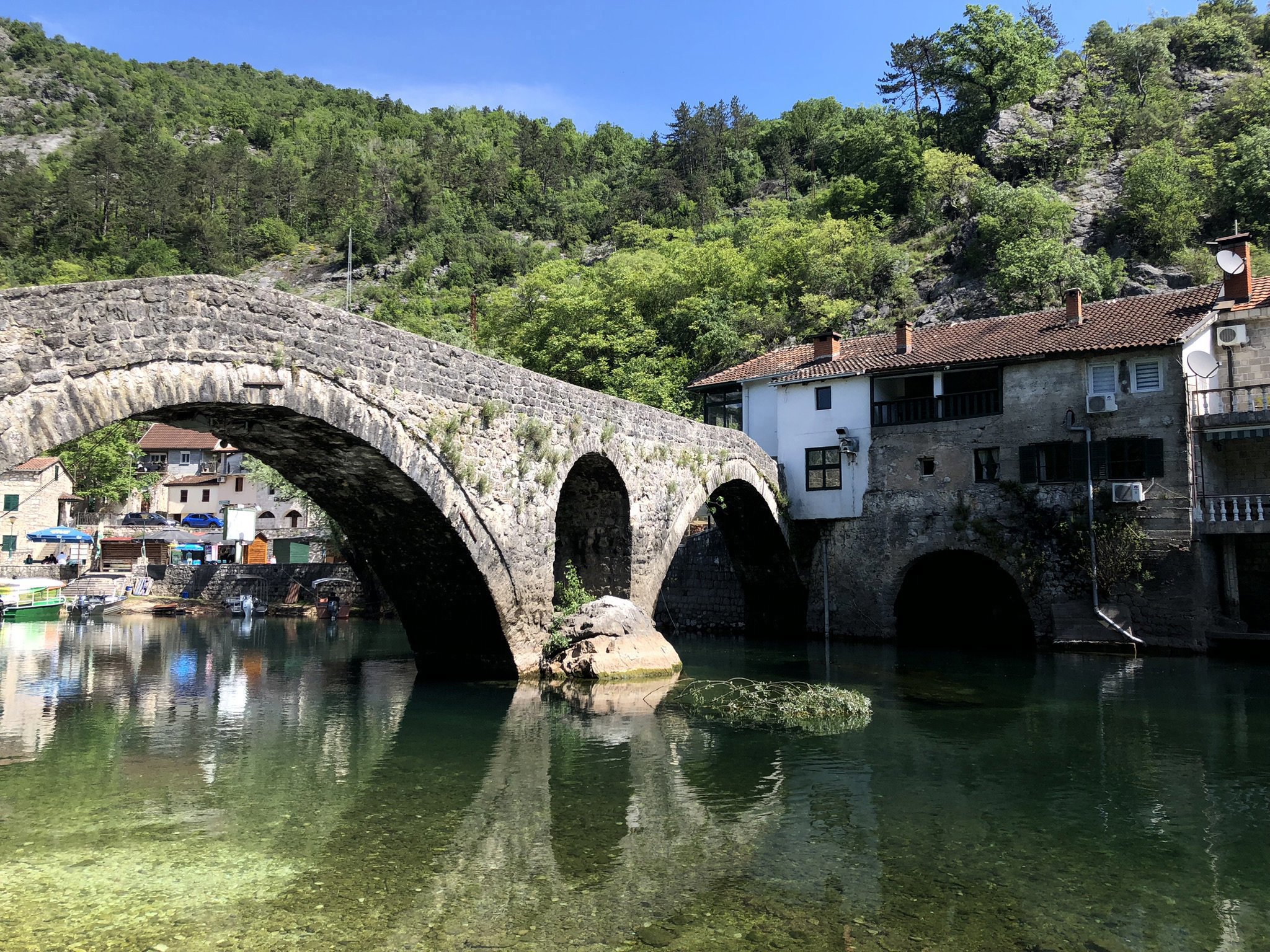 Scopri l'inesplorato lago di Scutari